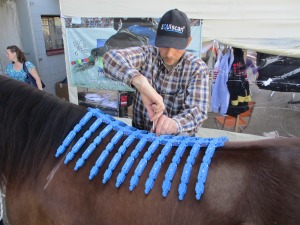 equiscan
